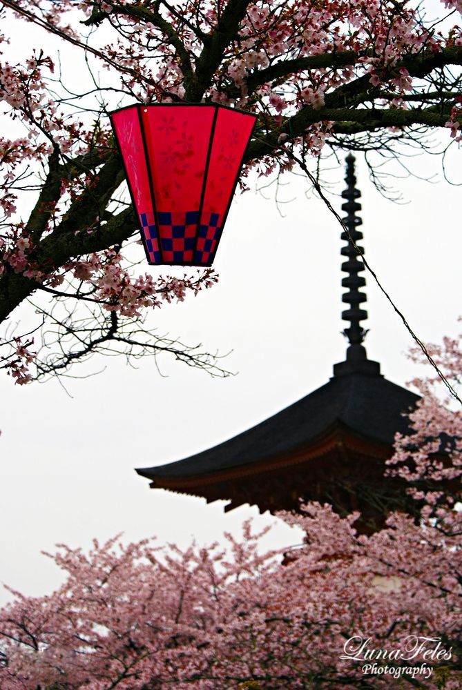 Miyajima