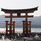 Miya­ji­ma: das rote Torii im Meer