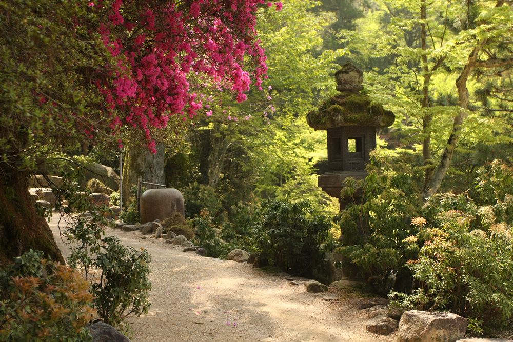 Miyajima I