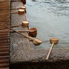 Miyajima, Itsukushima Shrine