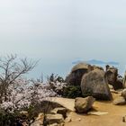 Miyajima - Misen