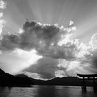 Miyajima: The Great Torii