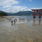 Miyajima torii