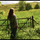 Miyu by the fence