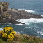 Mizen Head