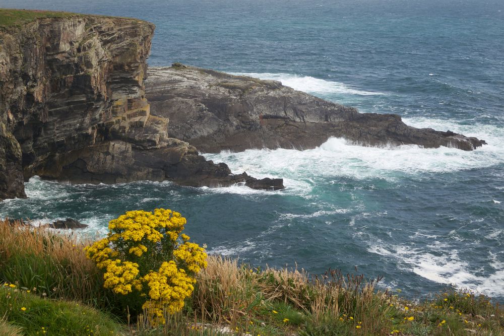 Mizen Head