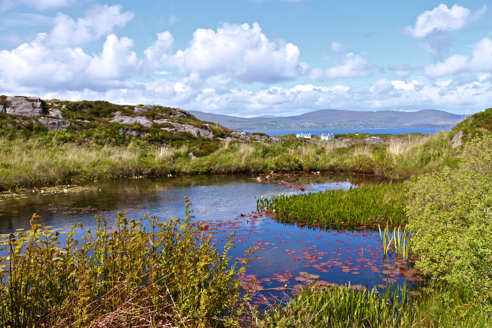 Mizen Peninsula1