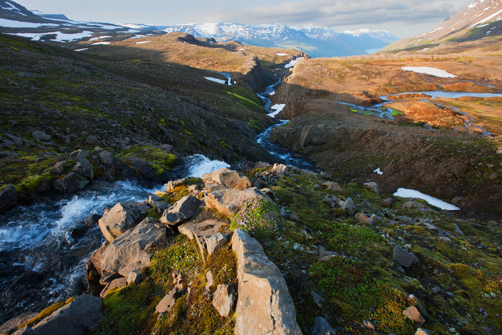 Mjoifjördur I