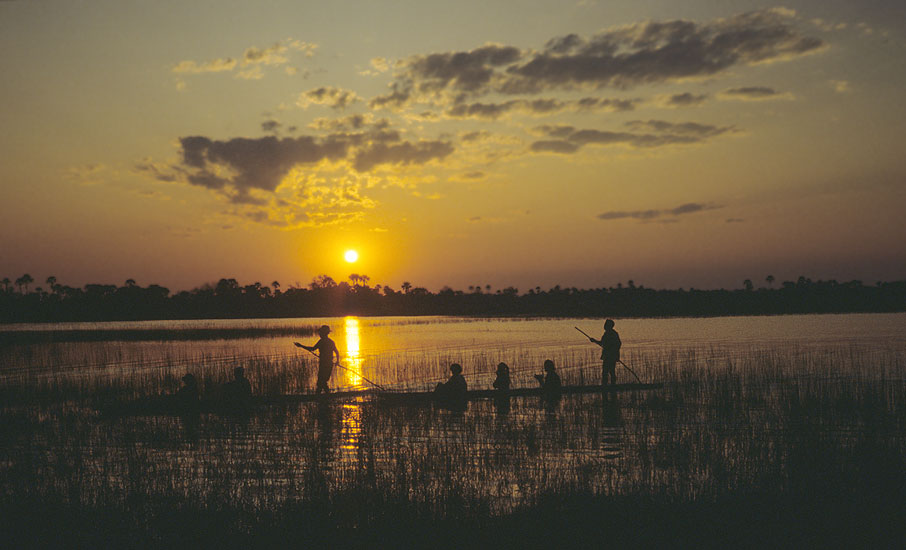 Mkoro im Okawango Delta