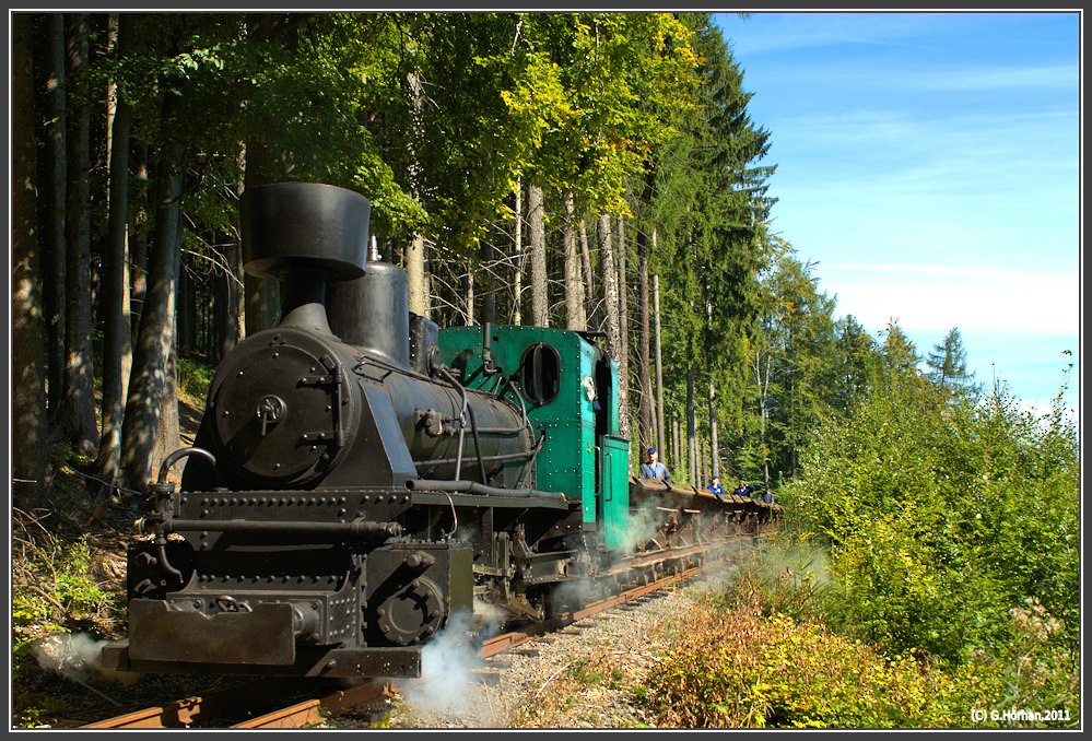 Mladejovska Prumislova Draha/Waldbahn