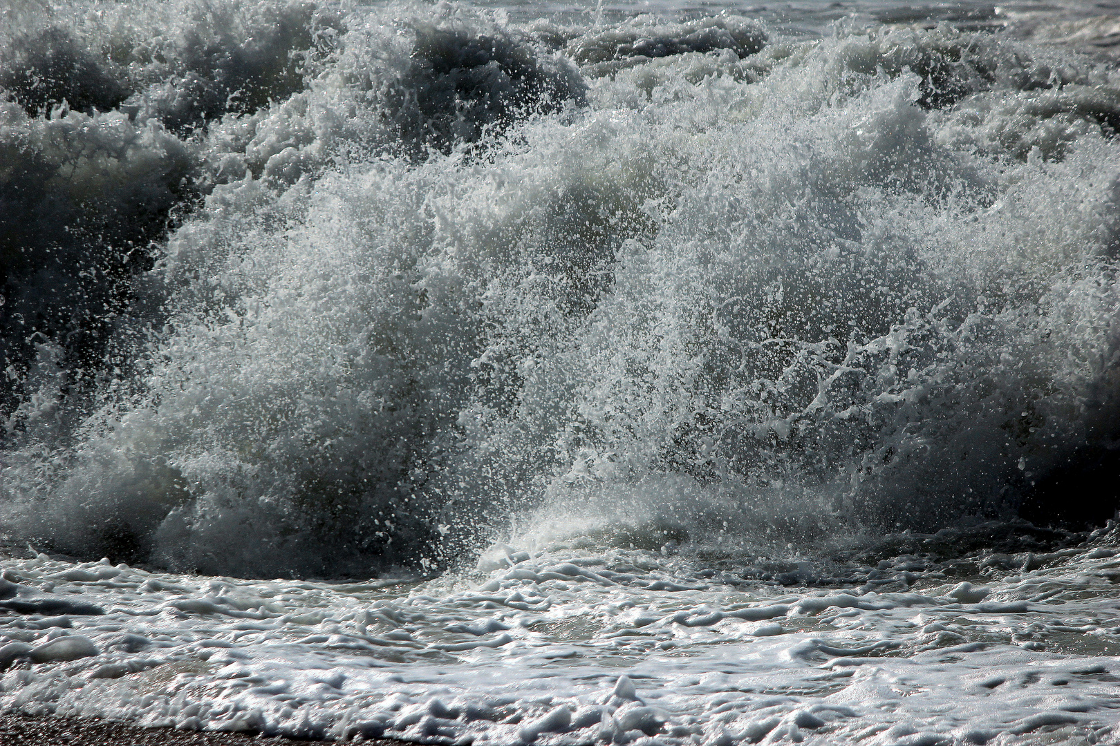 Mêlée Marine.........