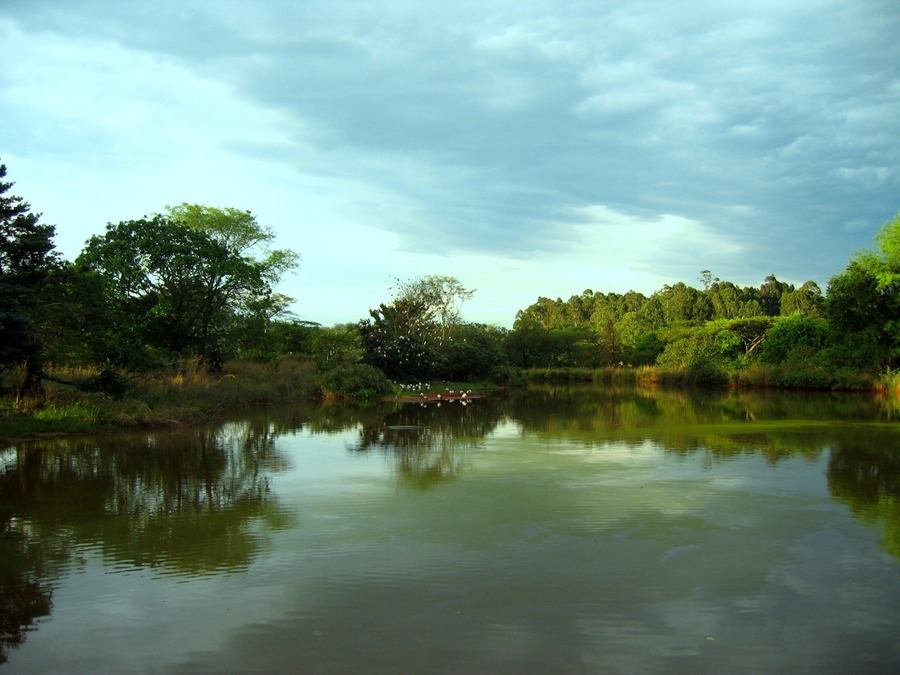 Mlilwane Park,Swaziland