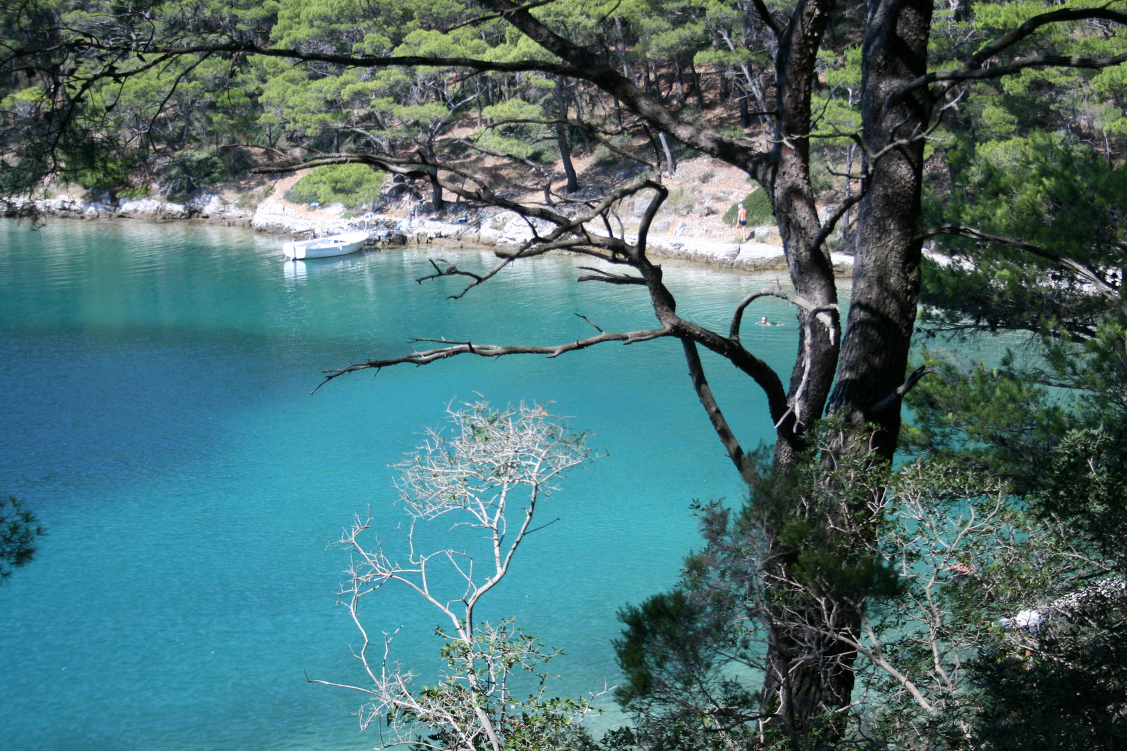 Mljet