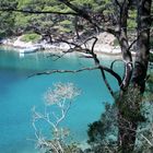 Mljet