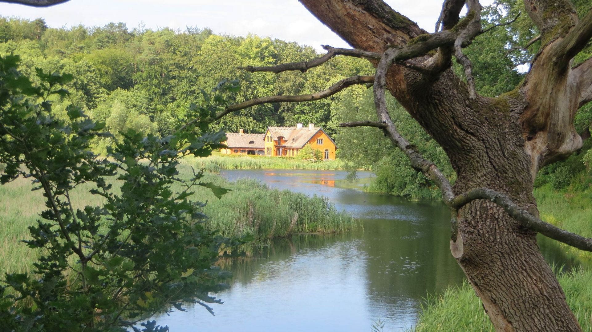 Mølleåen/Sjælland