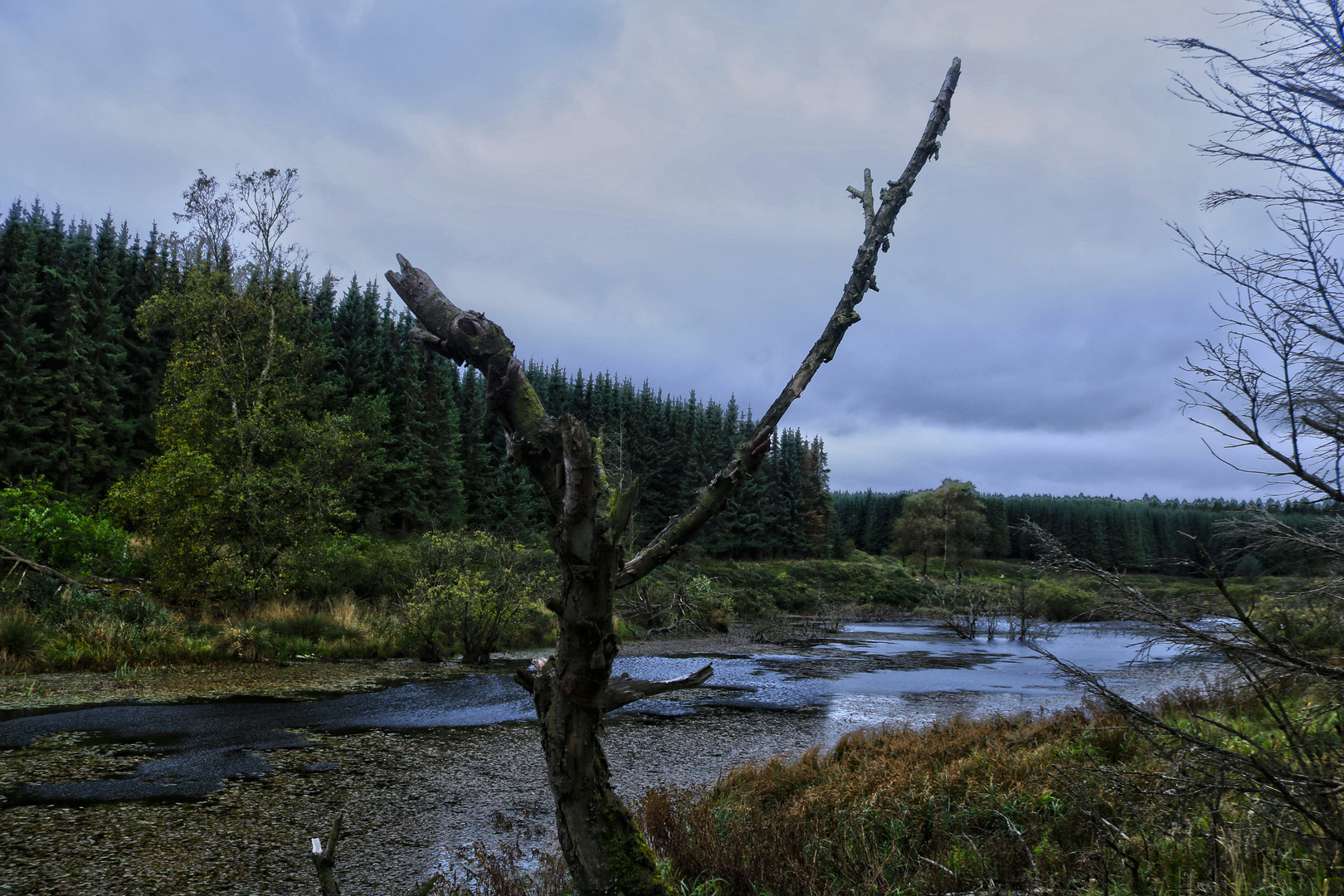 Møllesøen - 4