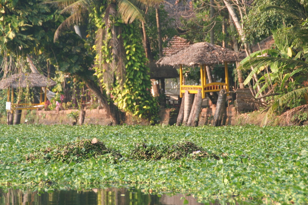 MLResort from waterside, Kerala Backwaters, bei Allepy