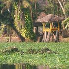 MLResort from waterside, Kerala Backwaters, bei Allepy