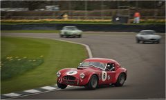 MM 2017 / AC Cobra