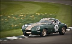 MM 2017 / Jaguar E-Type "lowdrag coupe"