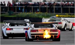  MM 2019 / BMW M1 Procar