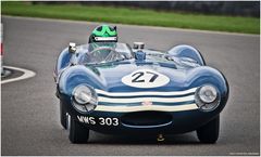  MM 2019 / Jaguar D-type