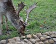 Wildpark Leipzig