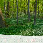 mm-Kalender Thüringen 2019_April