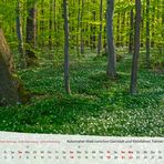 mm-Kalender Thüringen 2019_April