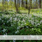 mm-Kalender Thüringer Landschaften: April 2023