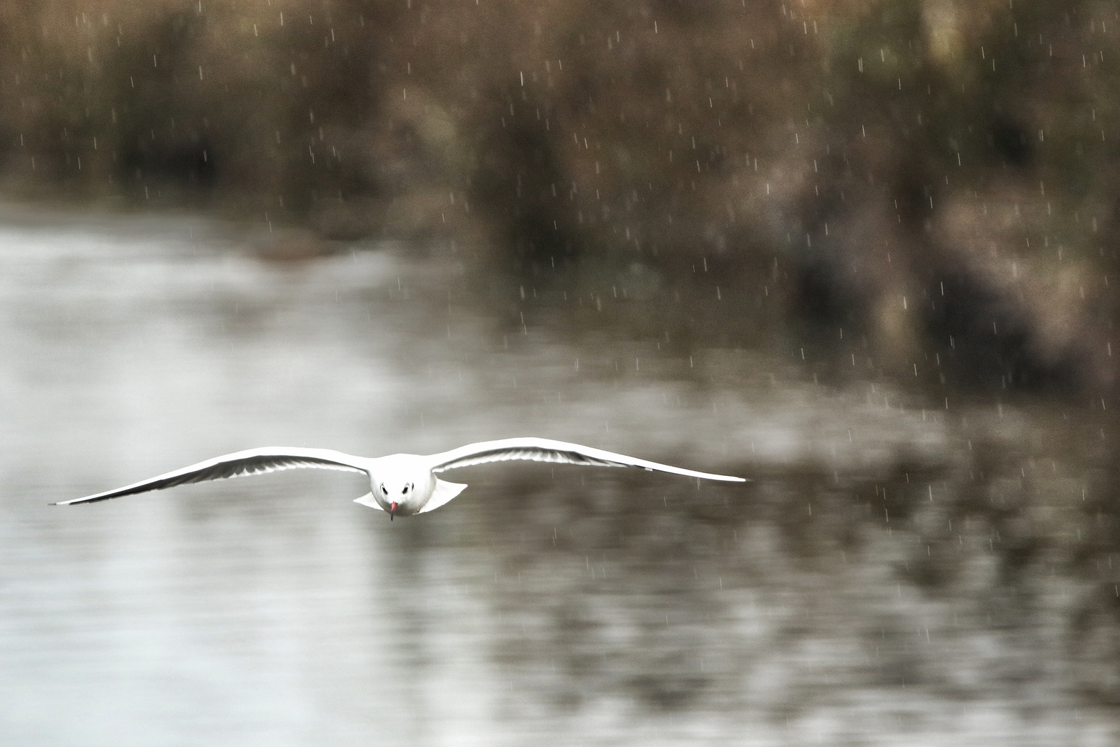 même sous la pluie !