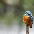 même sous la pluie !