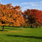 même une petite idée de l'automne