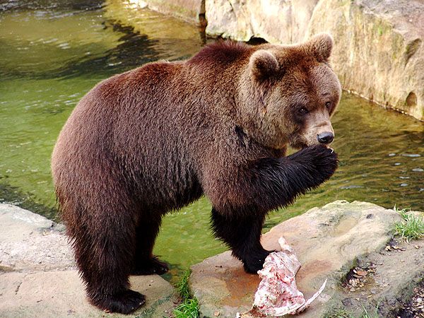 ...mmh, heute schmeckts besonders lecker