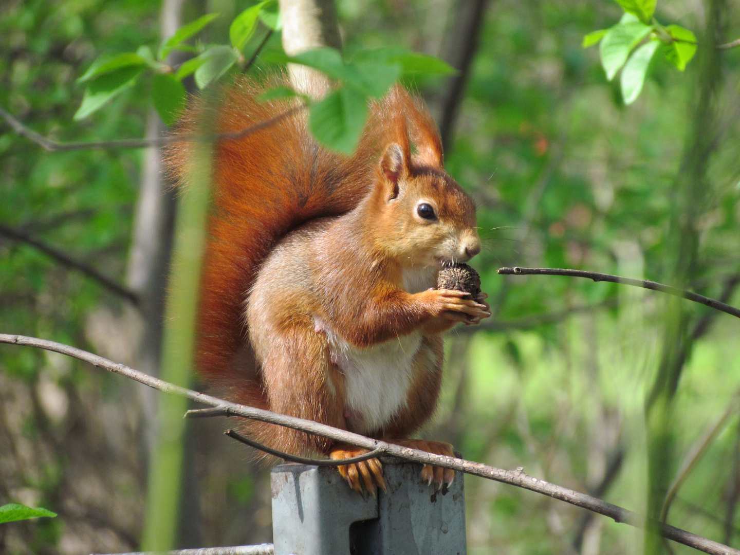 mmh lecker...