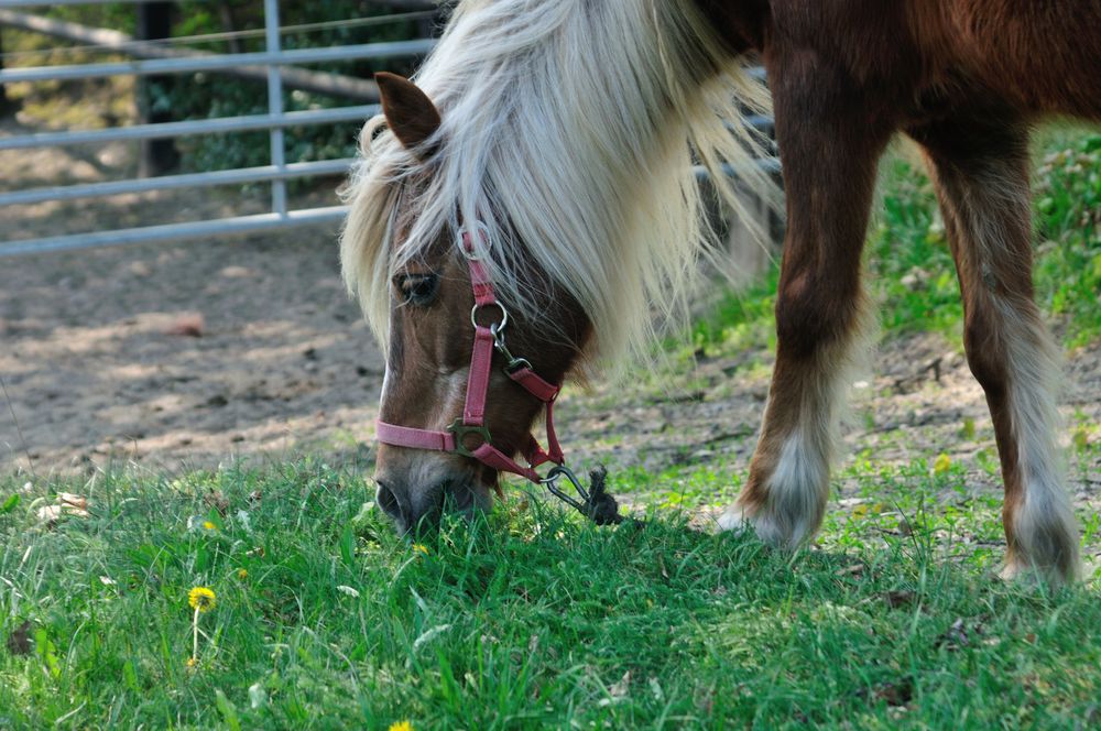 mmhhh lecker