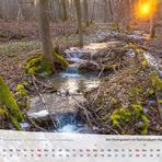 mm_Kalender Thüringen 2019_März