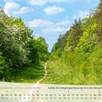 mm_Kalender Thüringen 2019_Mai