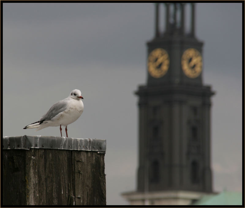 MMM ! (Möwe, Michel mieses Wetter)