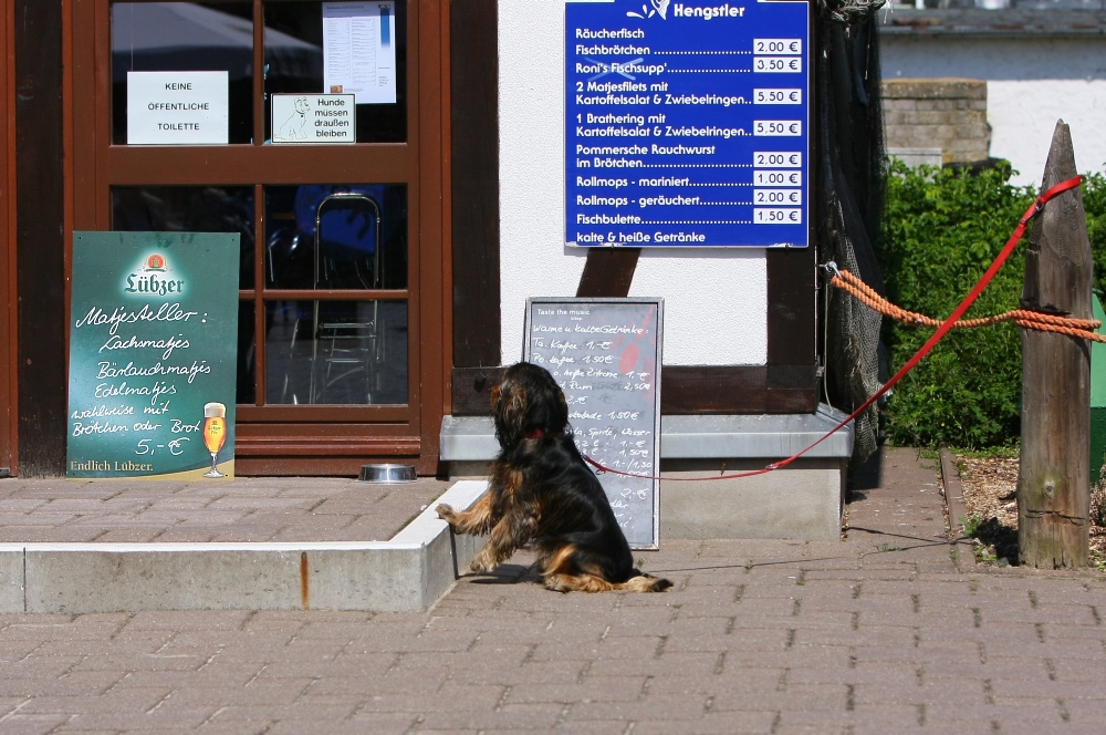 Mmmh... ein Matjesteller und ein kleines "Lübzer"... wär' nicht schlecht - so als Anfang...