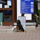 Mmmh... ein Matjesteller und ein kleines "Lübzer"... wär' nicht schlecht - so als Anfang...