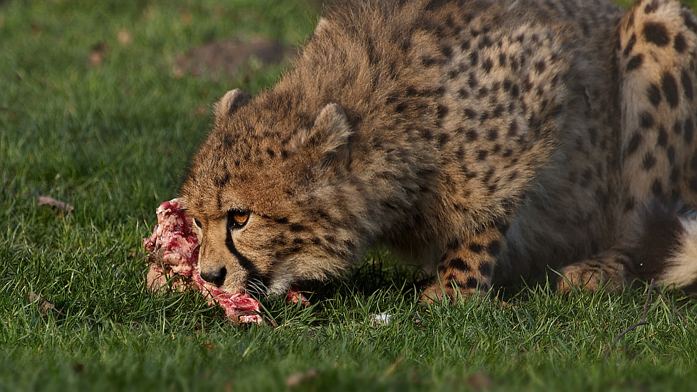 "mmmh lecker"