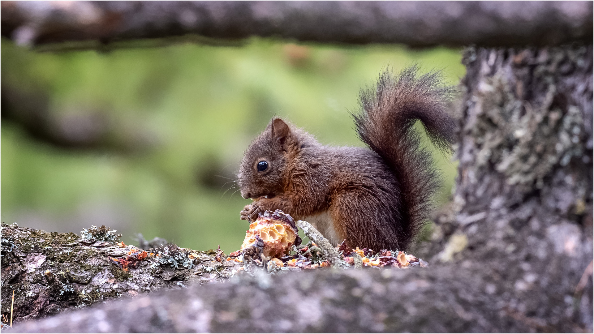 Mmmhhh - lecker