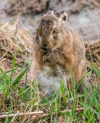 "Mmmmh ..... laß mich da mal Überlegen"