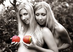 Mmmmhh lecker, hat die schöne Äpfel ! :o)
