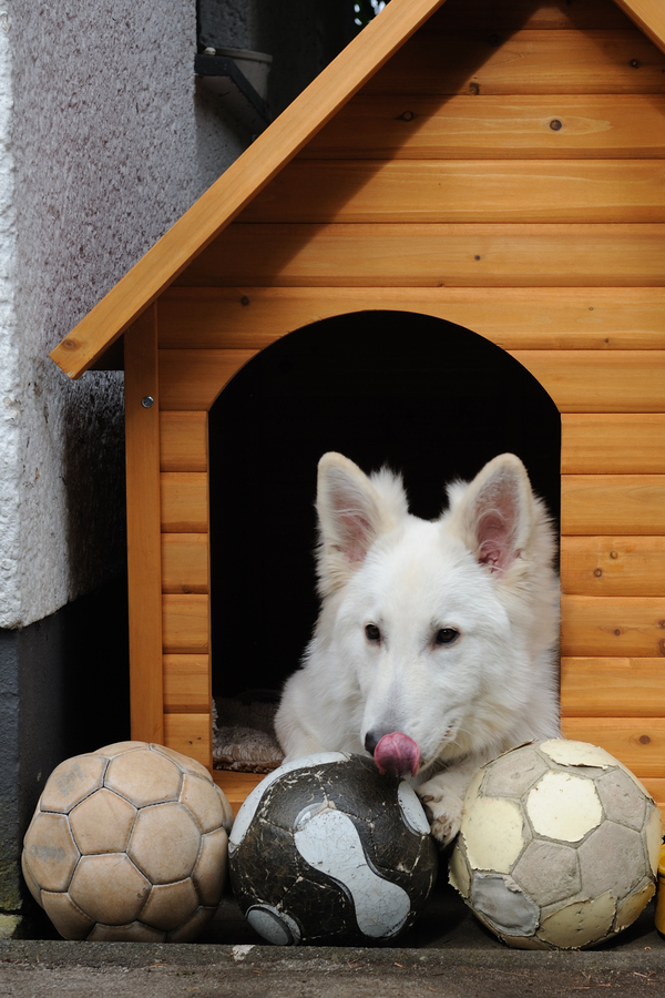 mmmmmhhhh....die schmecken auch noch gut ;-)