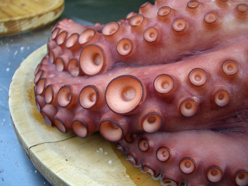 mmmmmmhhhh .......... PULPO