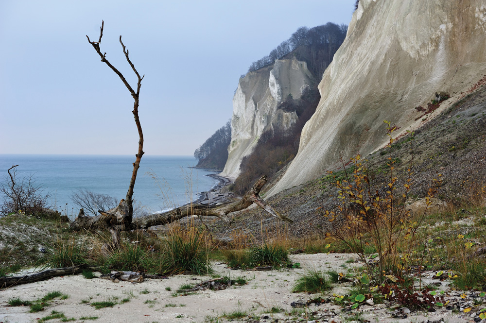 Møn Klint