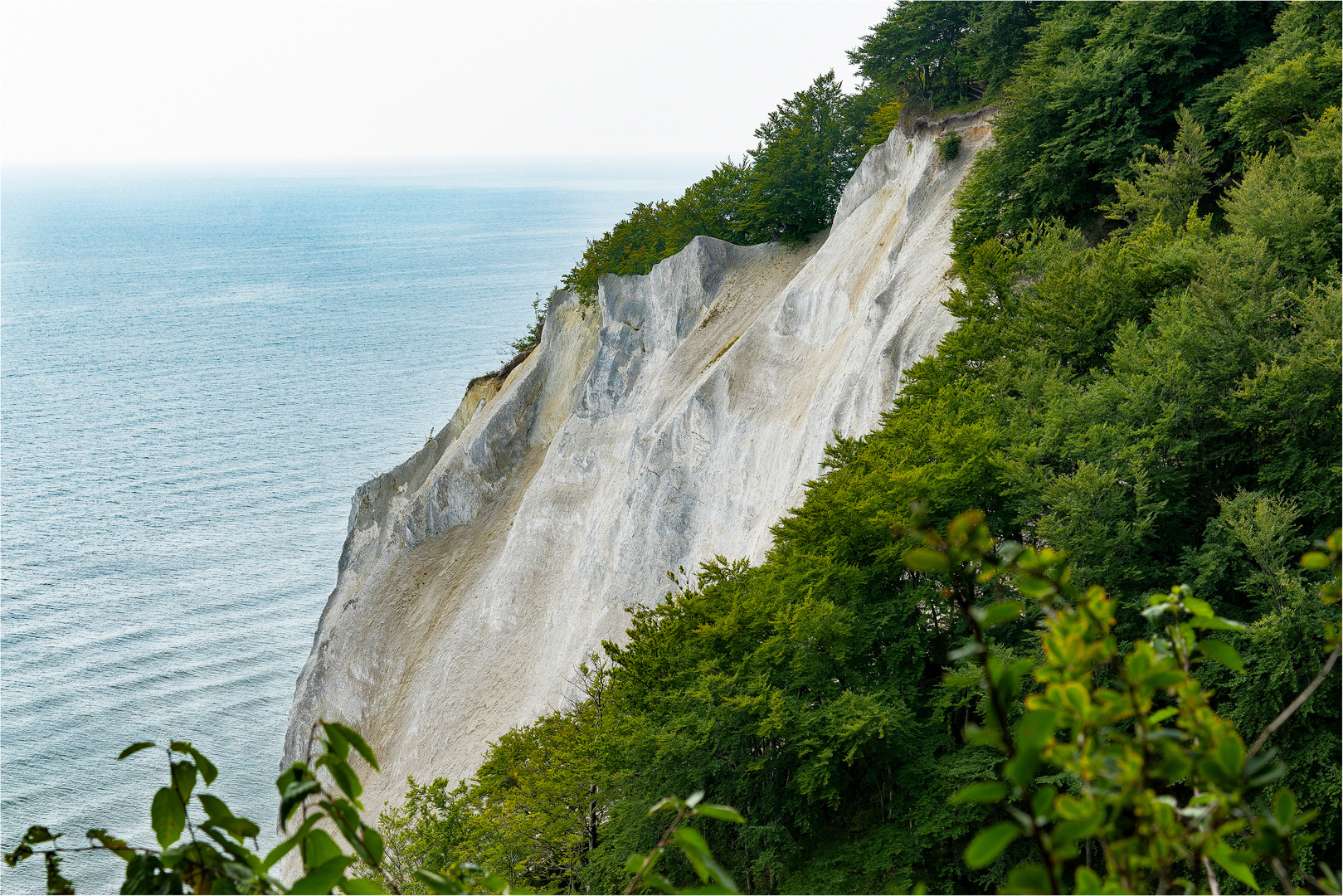 Møns Klint 