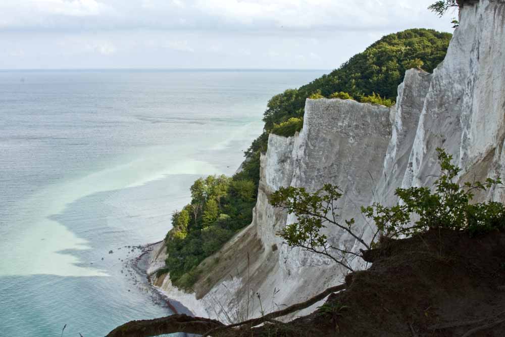 Møns Klint